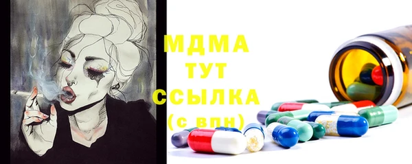 ПСИЛОЦИБИНОВЫЕ ГРИБЫ Арсеньев