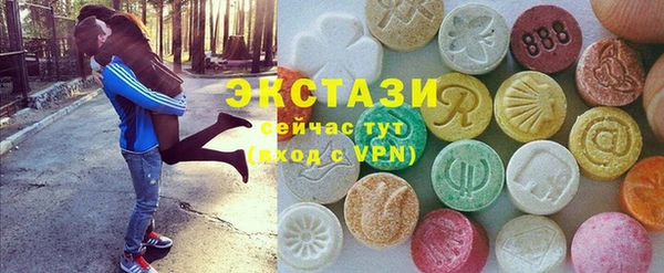 ECSTASY Алзамай
