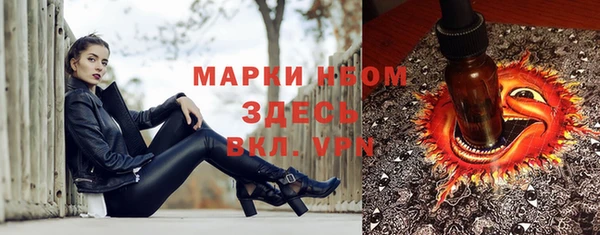 ПСИЛОЦИБИНОВЫЕ ГРИБЫ Арсеньев