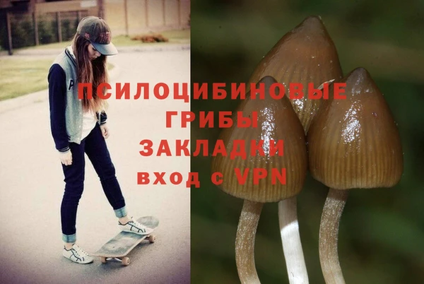 ECSTASY Алзамай