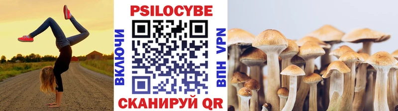 ссылка на мегу ссылки  Крым  Псилоцибиновые грибы GOLDEN TEACHER 