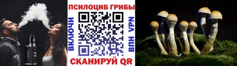 Галлюциногенные грибы GOLDEN TEACHER Крым